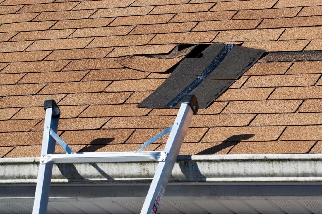 Damaged shingles on a roof slope
